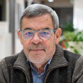 Ledesma
