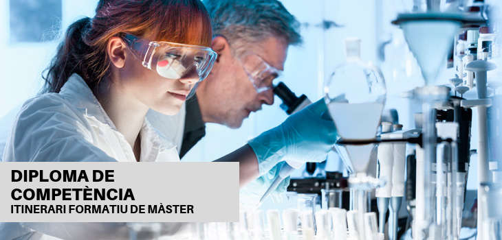 Diploma competència monitors 
