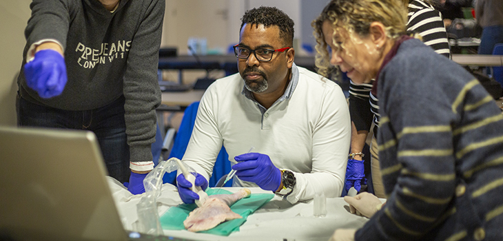 Taller ecografia formació urgències