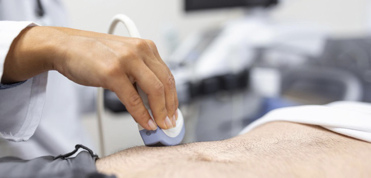 Fisiopatologia amb ecografia POCUS (Nivell 1)
