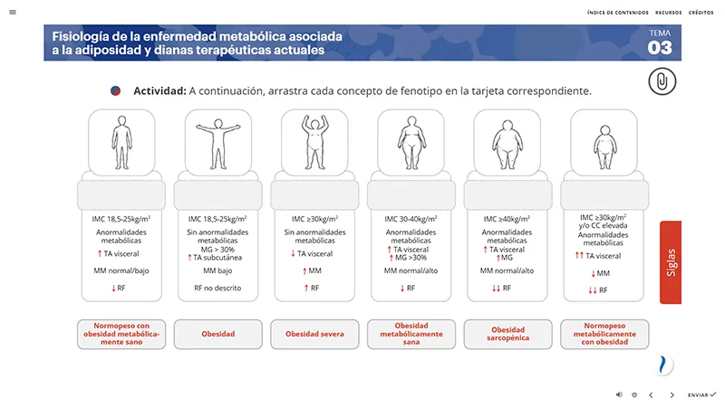 Formació 13